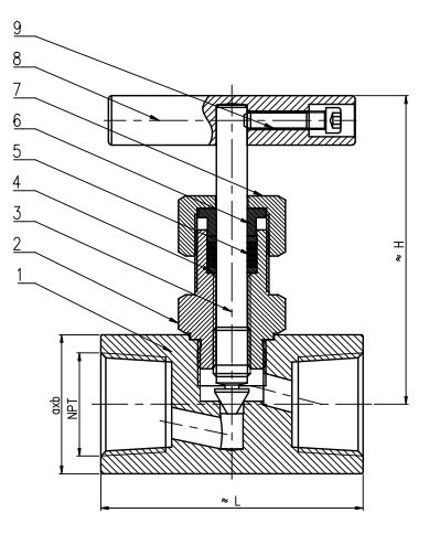 Needle Valve